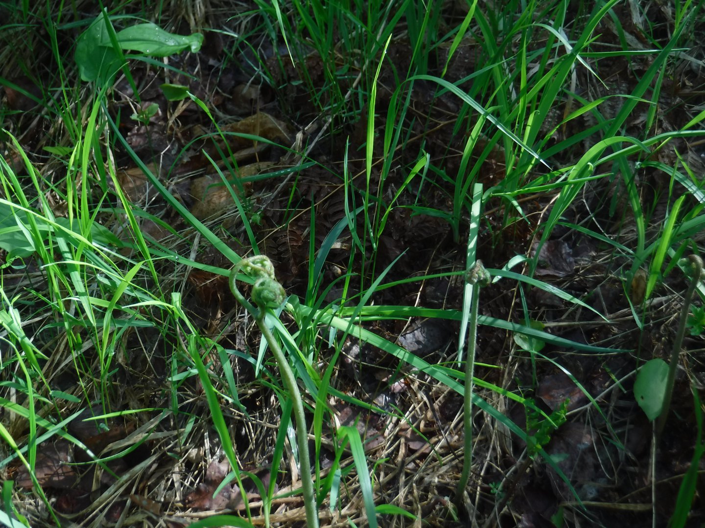 DSCF5948.JPG