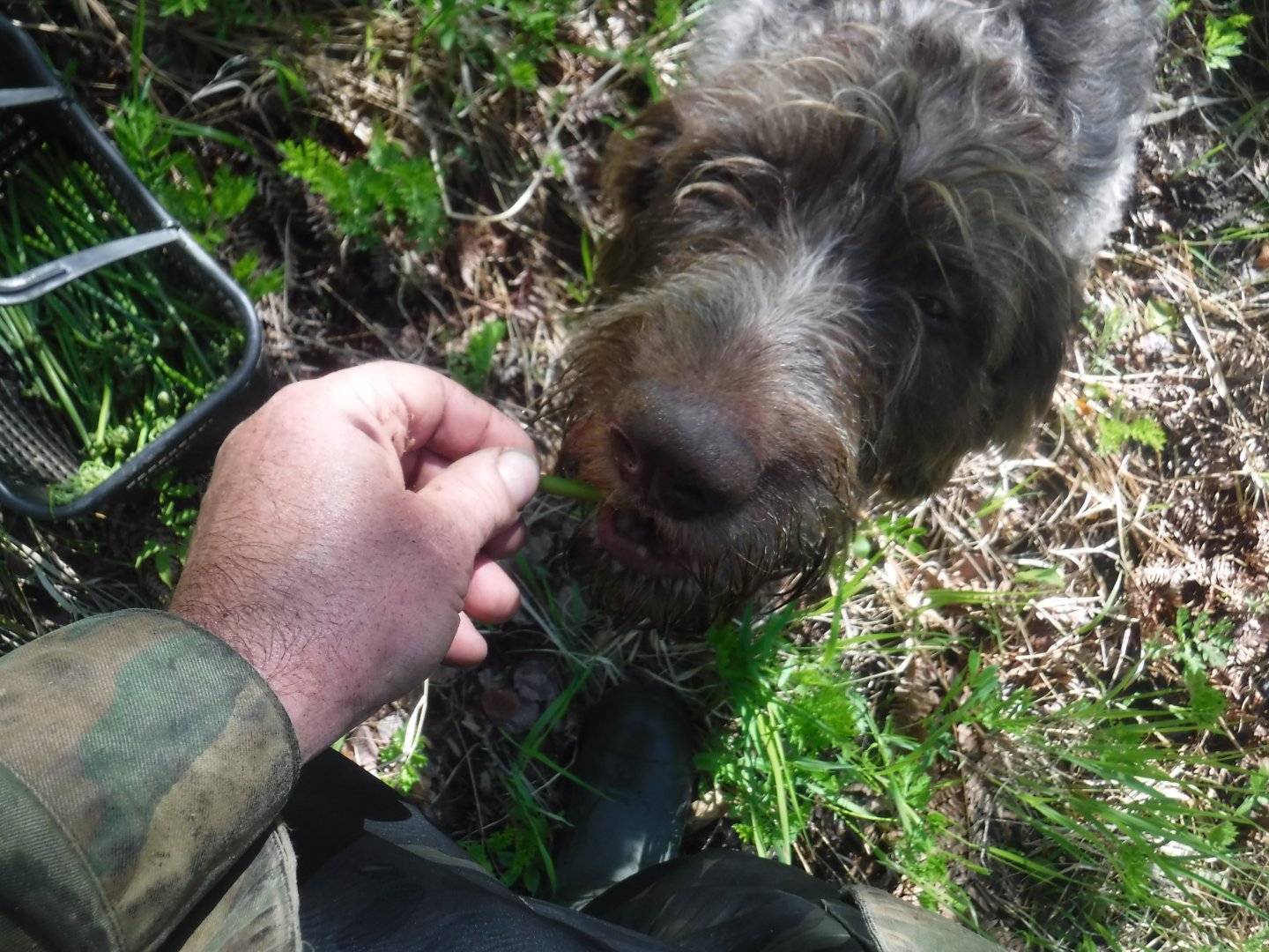 DSCF5952.JPG