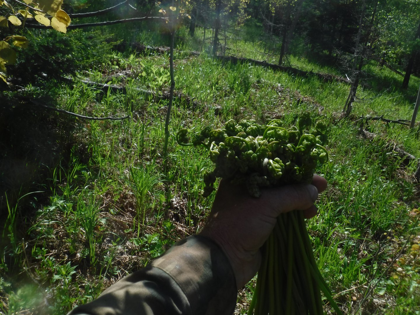 DSCF5958.JPG