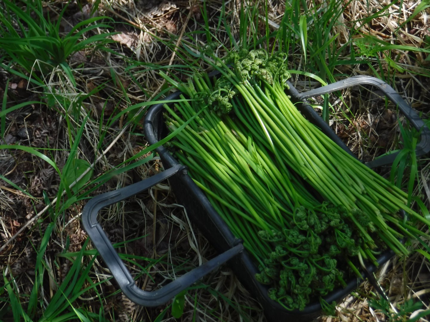 DSCF5963.JPG