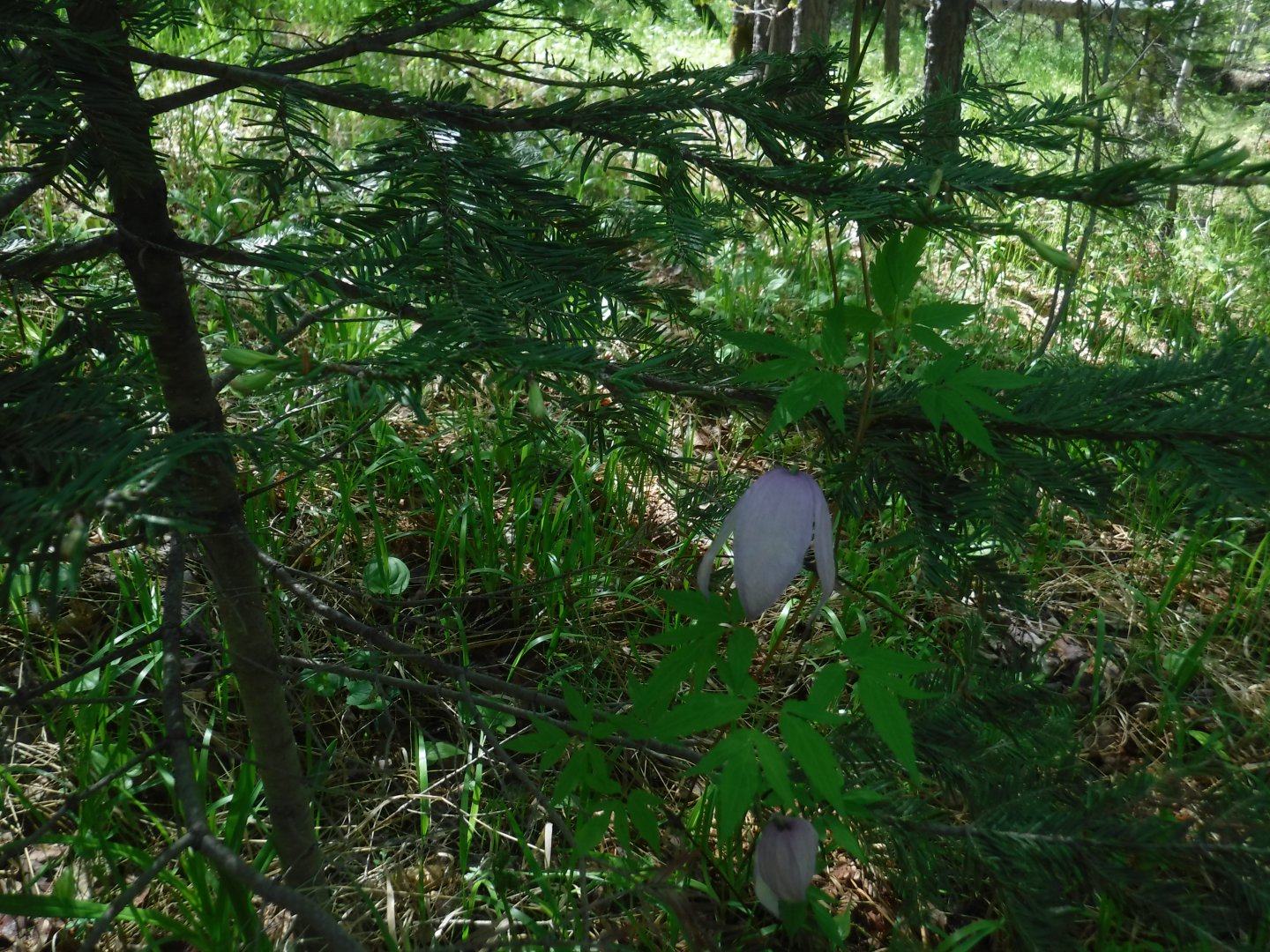 DSCF5964.JPG