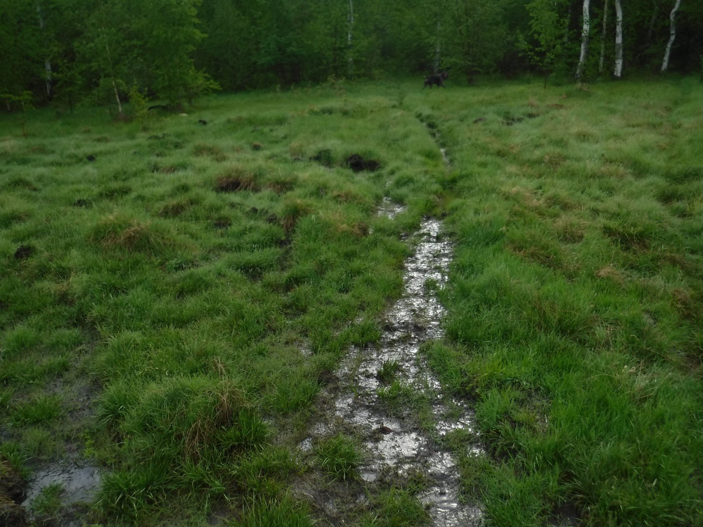 DSCF5969.JPG