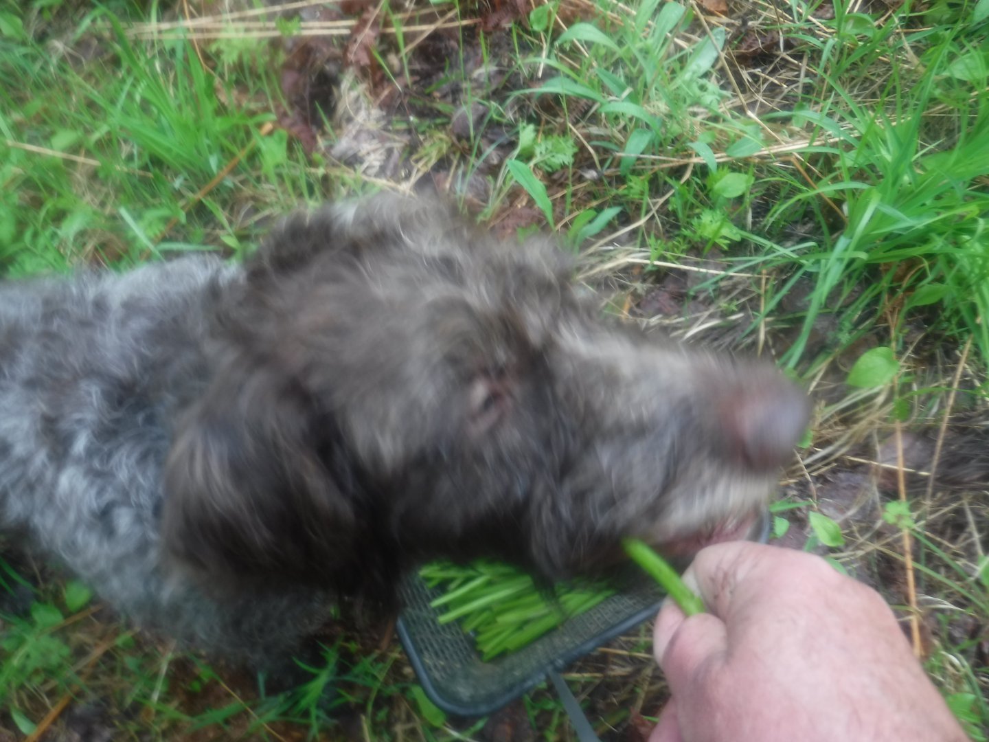 DSCF5975.JPG