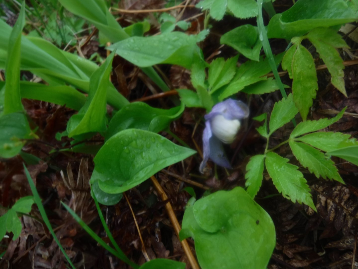 DSCF5980.JPG