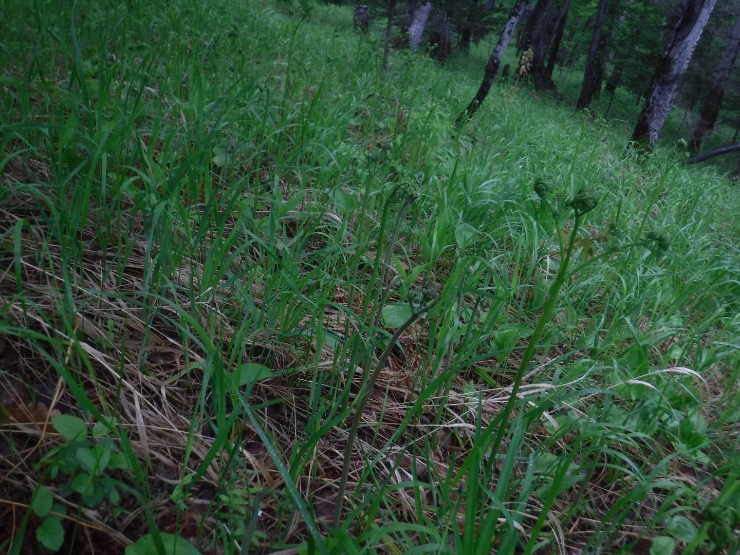 DSCF5981.JPG