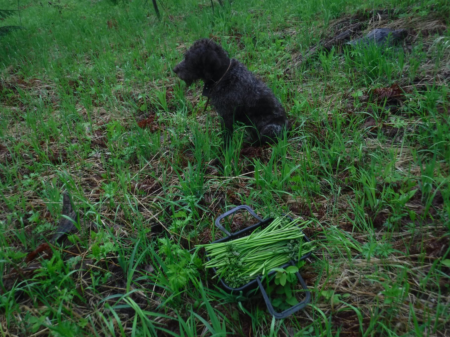 DSCF5985.JPG