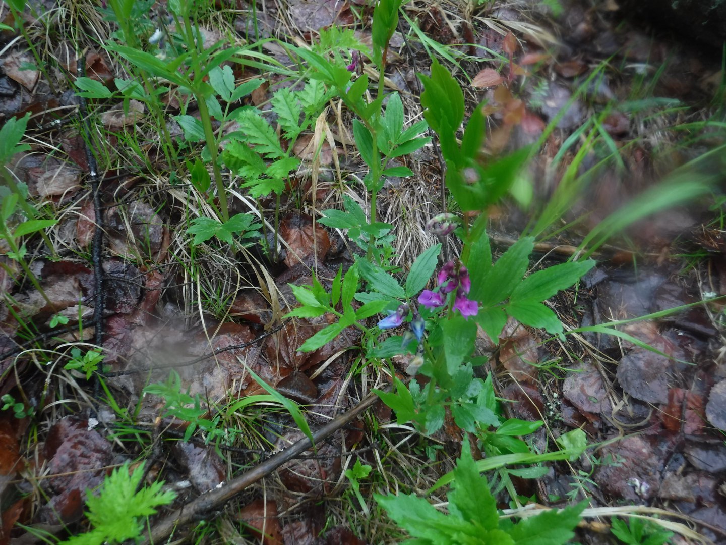 DSCF5987.JPG