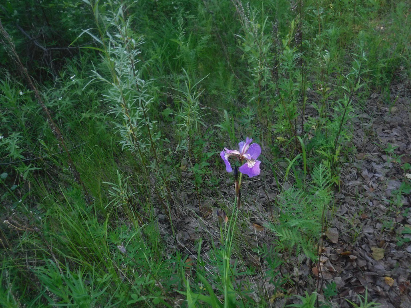 DSCF6047.JPG