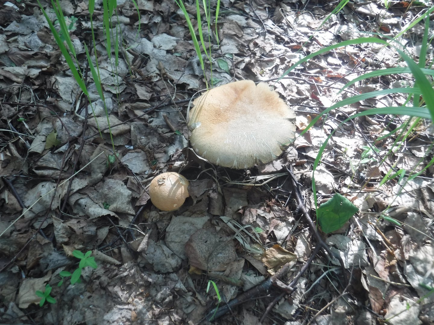DSCF6054.JPG