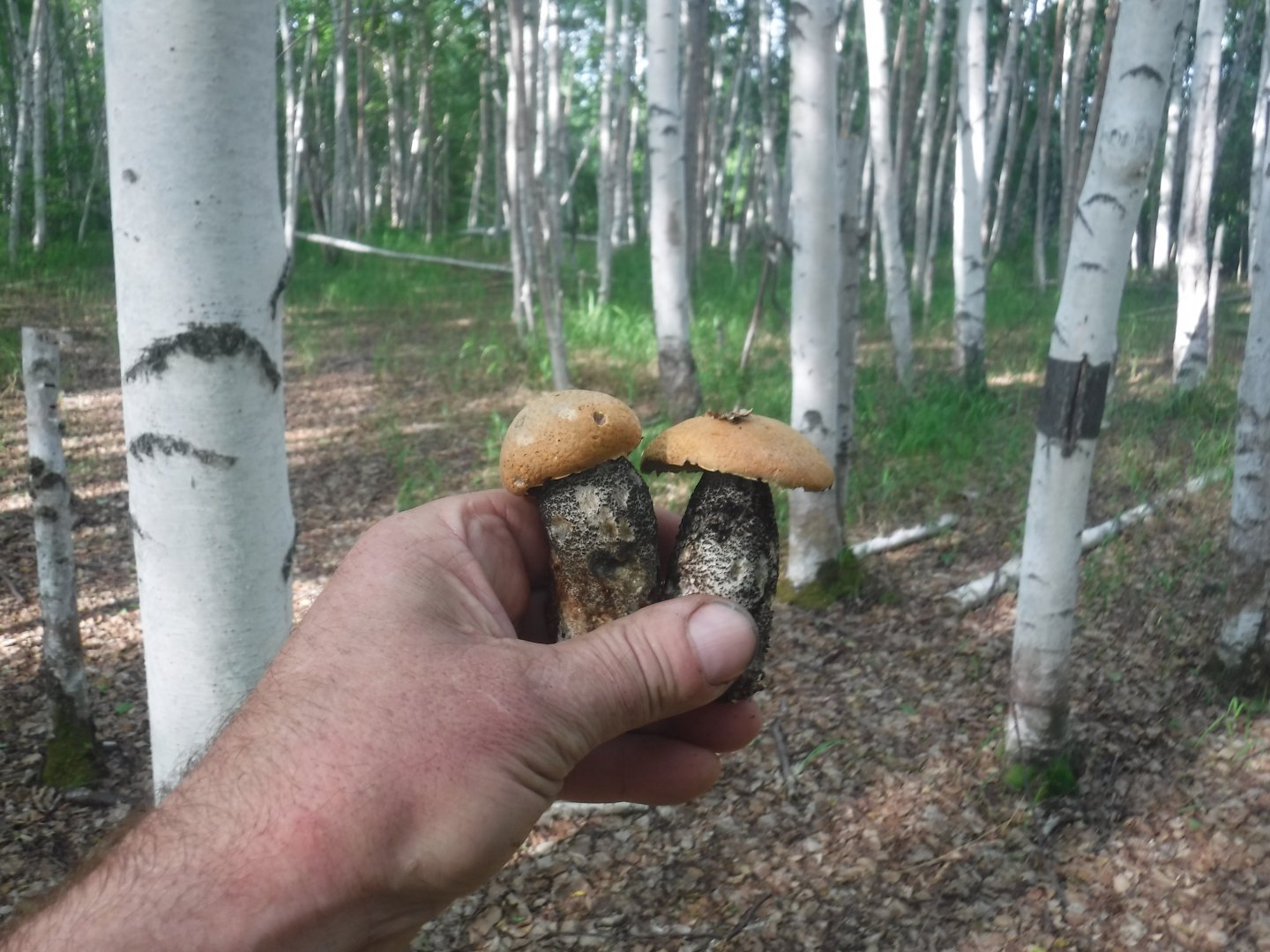 DSCF6056.JPG