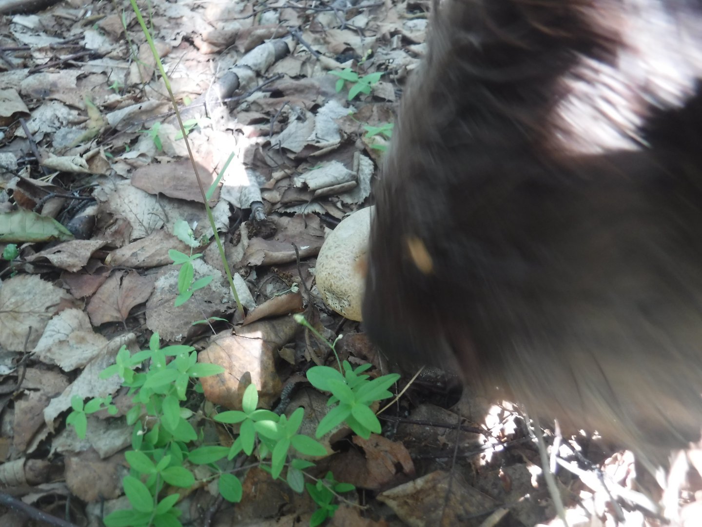 DSCF6061.JPG
