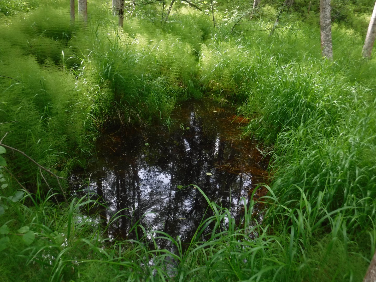 DSCF6065.JPG