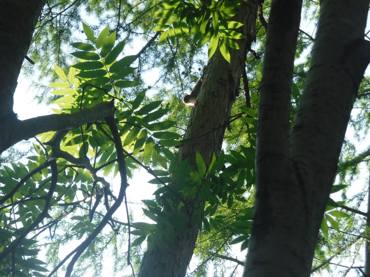 DSCF6070.JPG