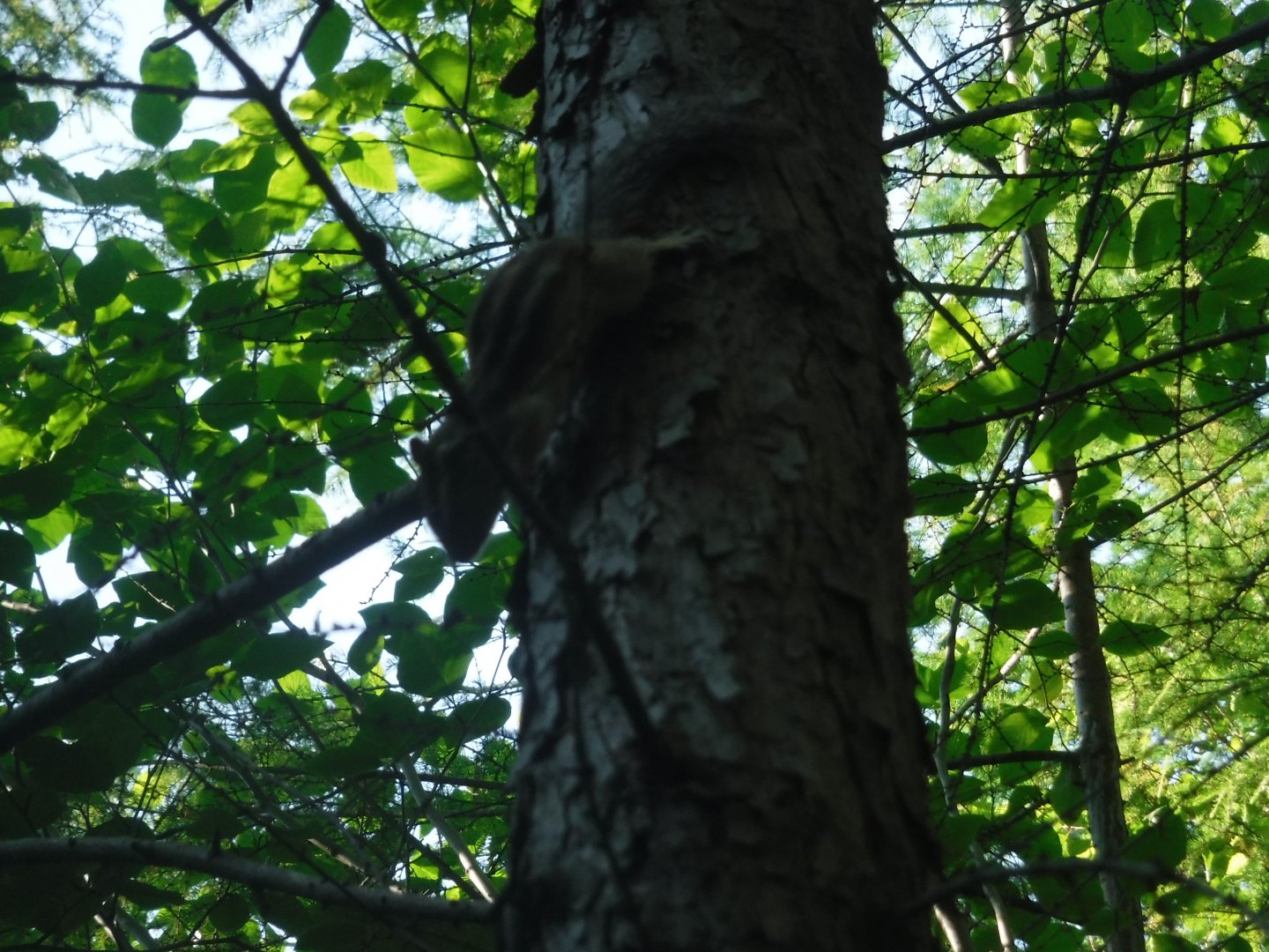 DSCF6075.JPG