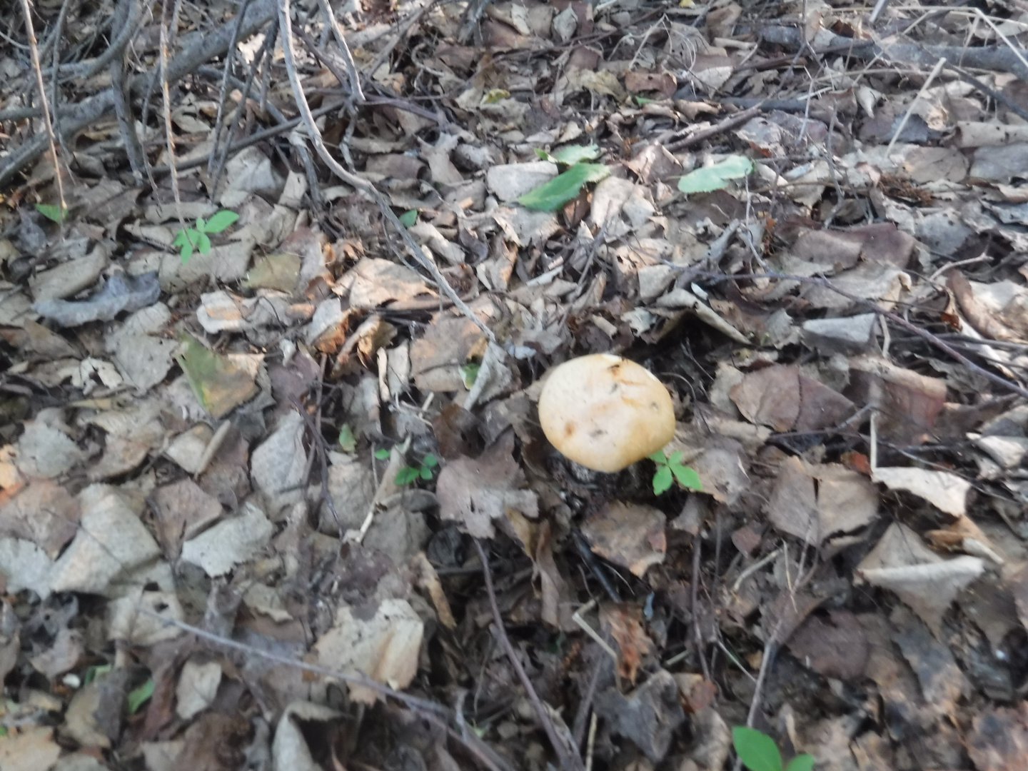DSCF6077.JPG