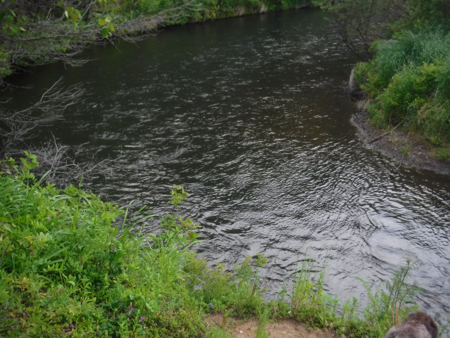 DSCF6131.JPG
