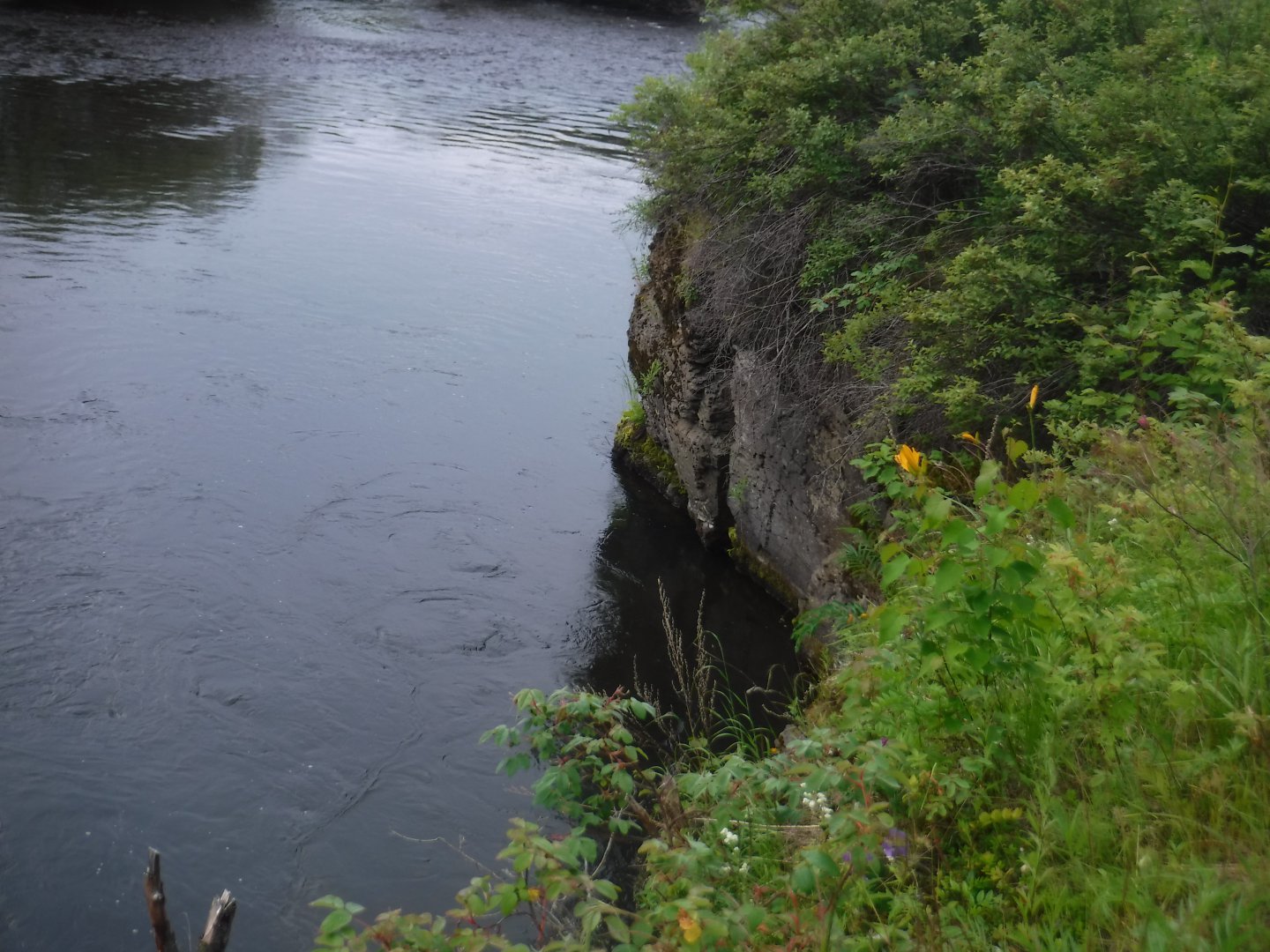 DSCF6132.JPG