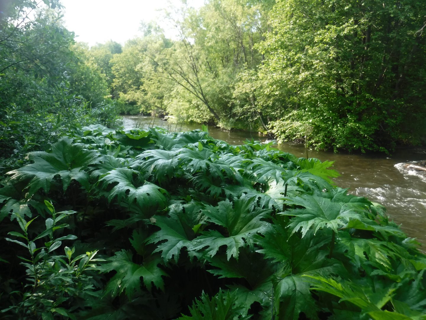 DSCF6142.JPG