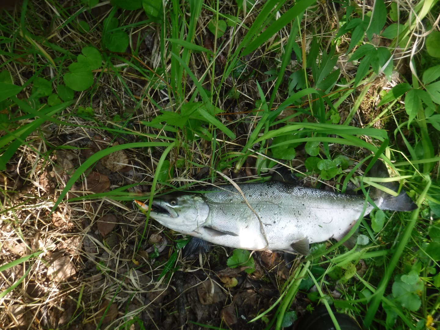 DSCF6144.JPG