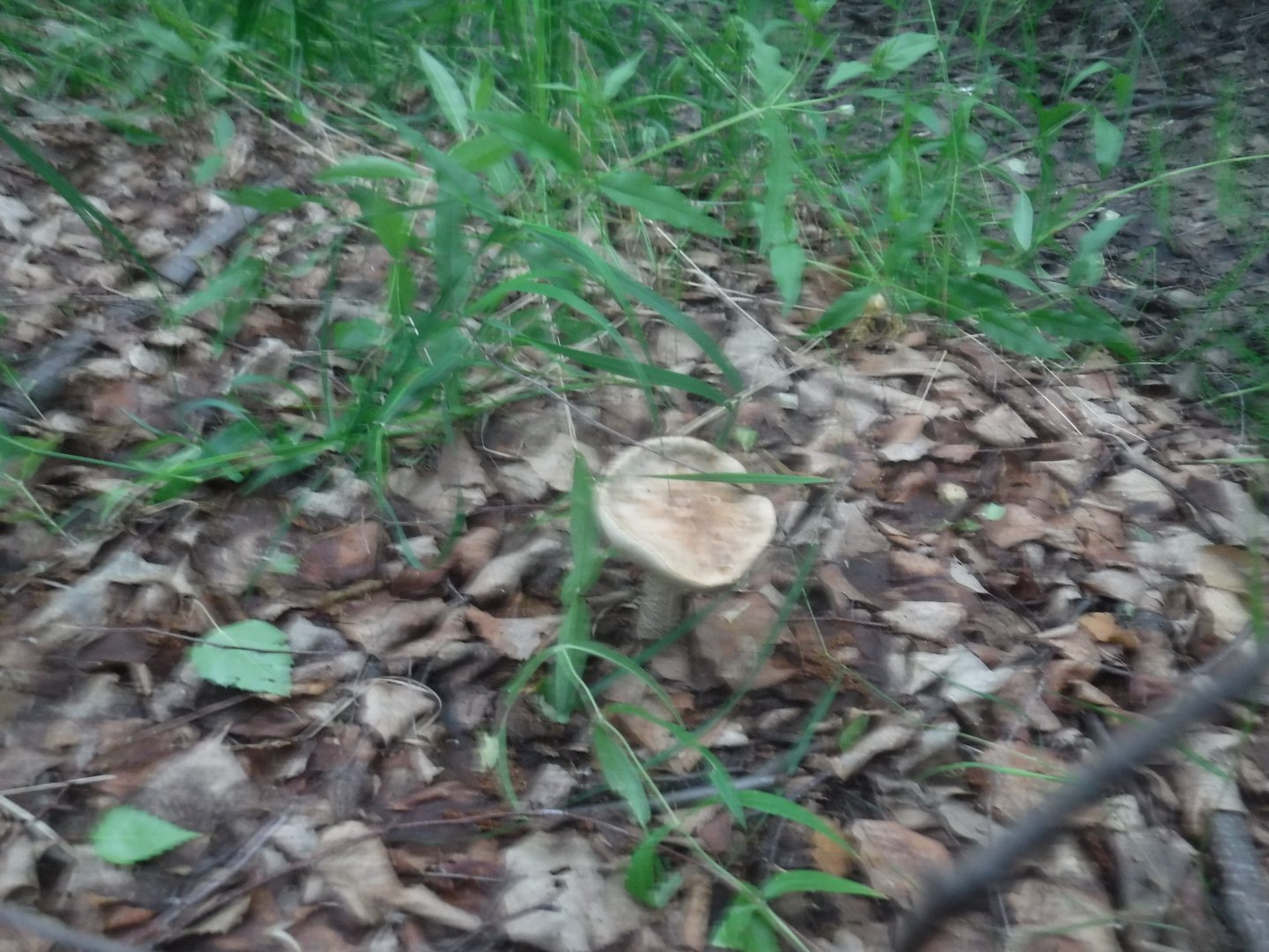 DSCF6152.JPG