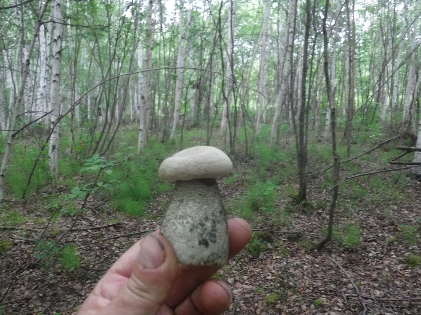 DSCF6154.JPG