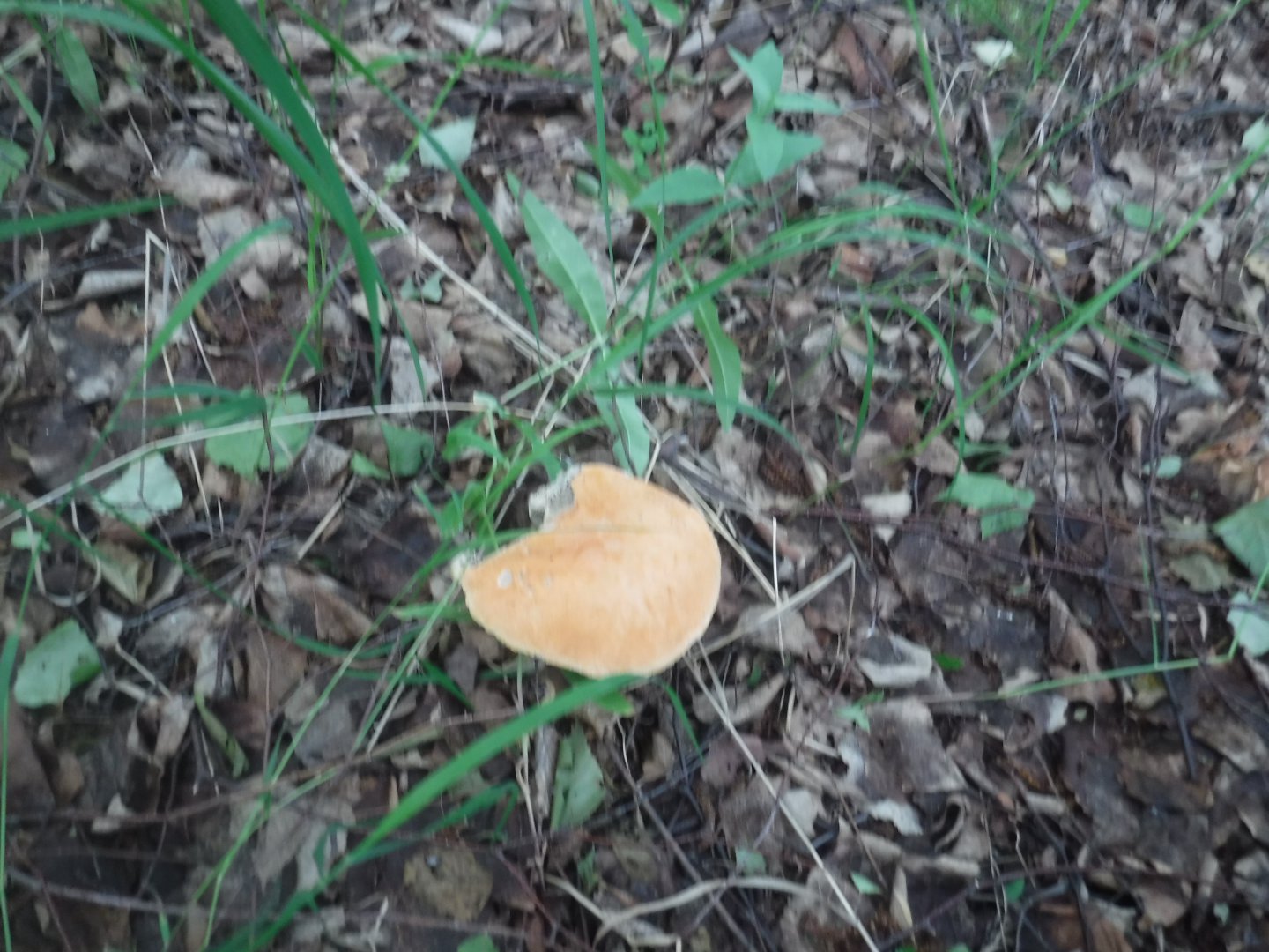 DSCF6159.JPG