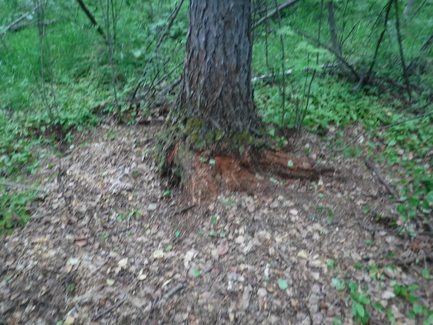 DSCF6162.JPG