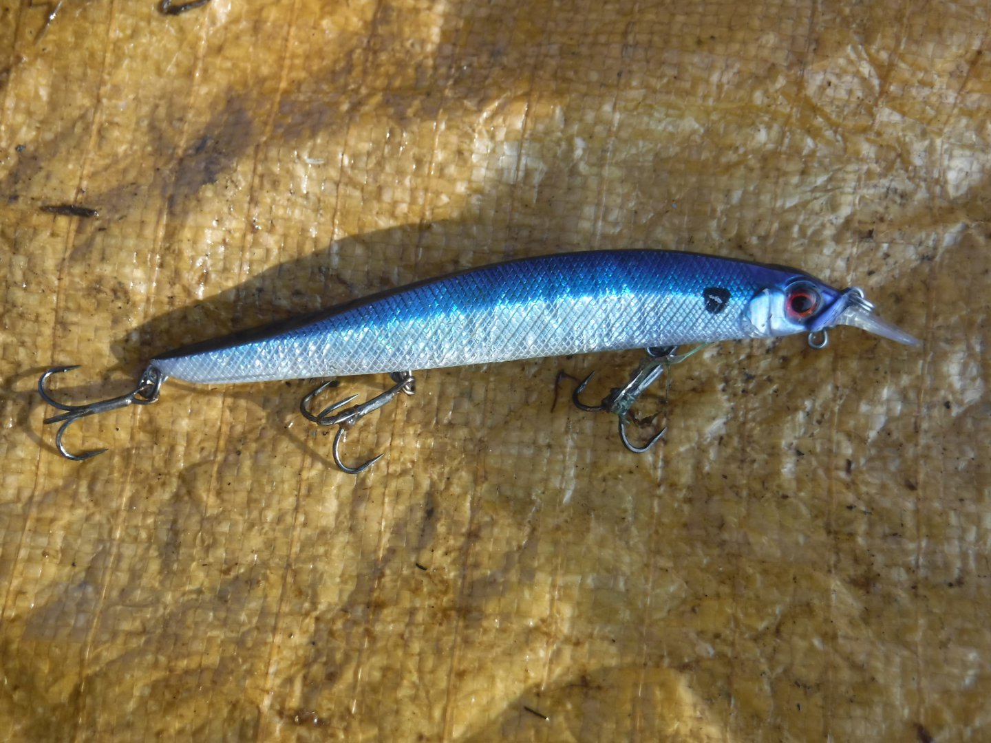 DSCF6233.JPG