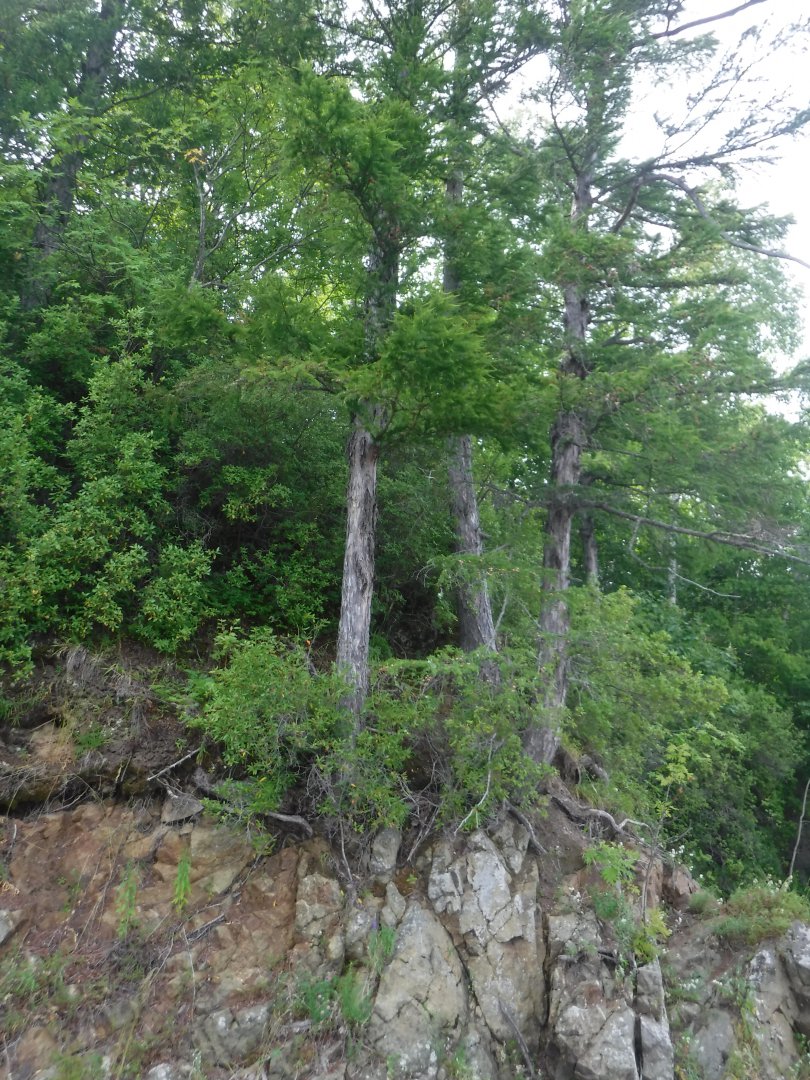DSCF6240.JPG