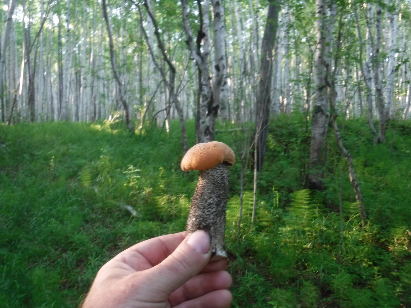 DSCF6255.JPG