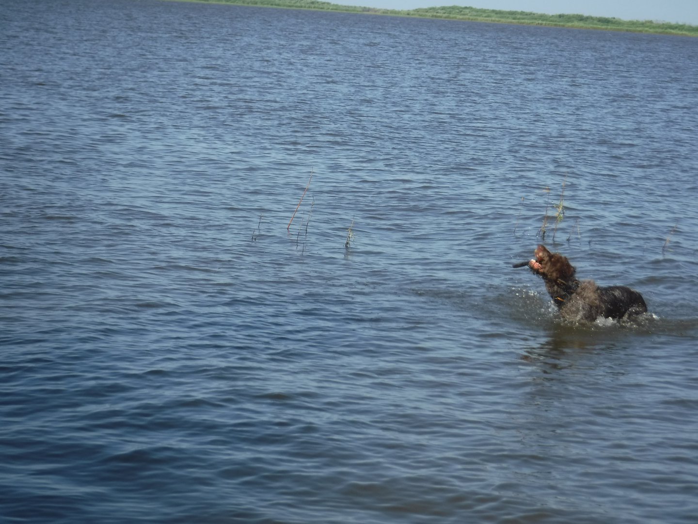 DSCF6260.JPG