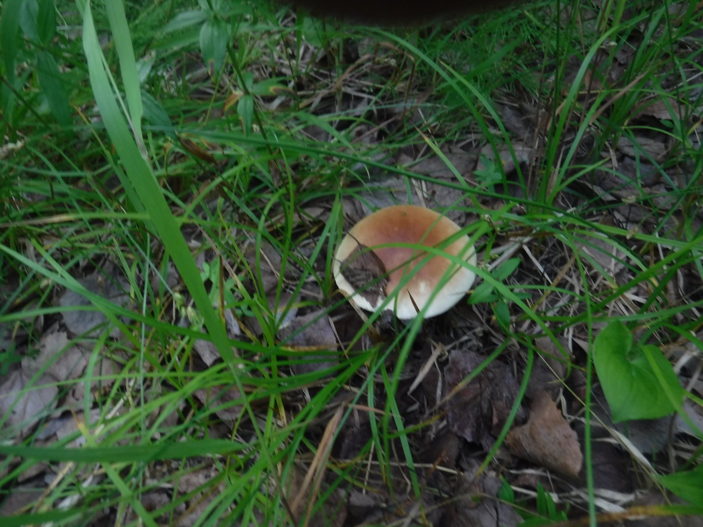 DSCF6270.JPG