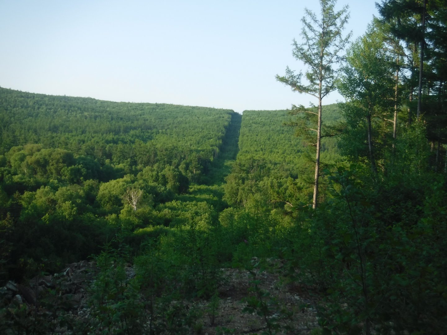 DSCF6274.JPG