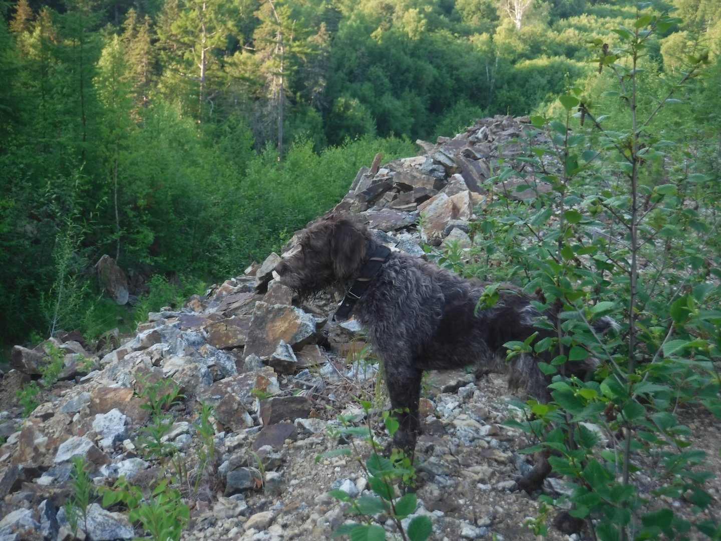 DSCF6276.JPG
