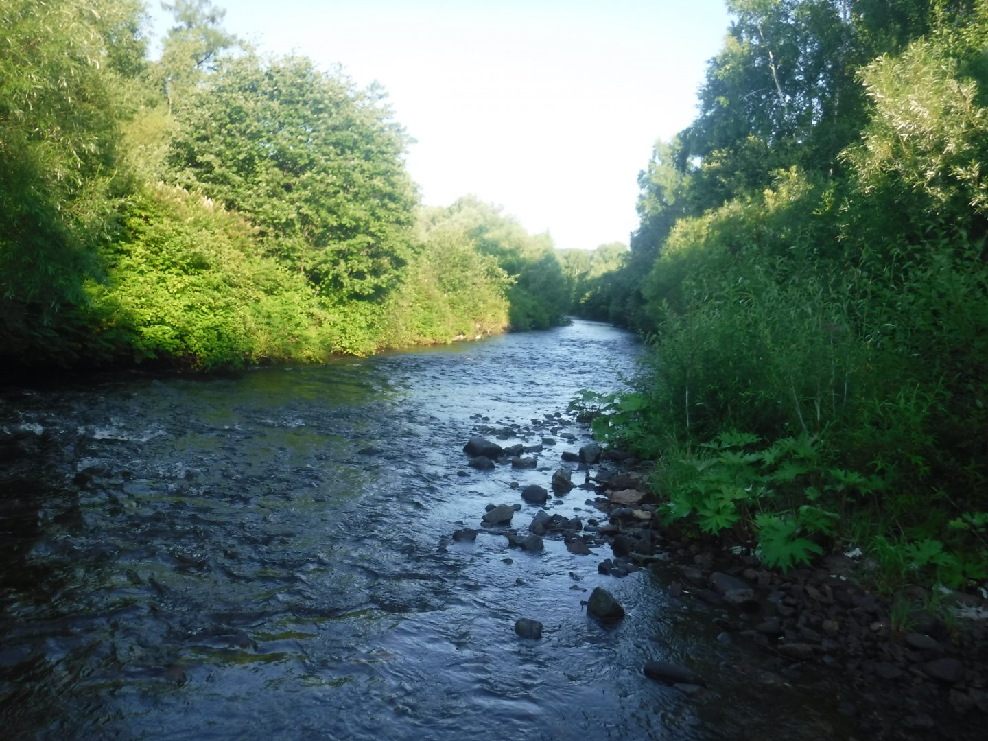 DSCF6280.JPG