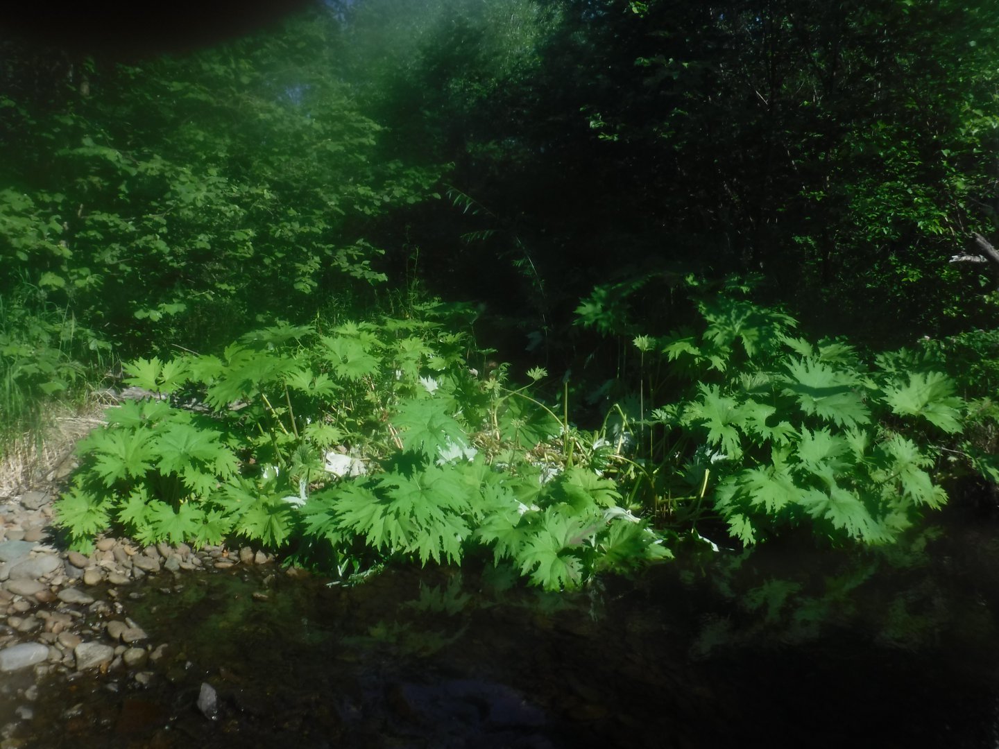 DSCF6284.JPG