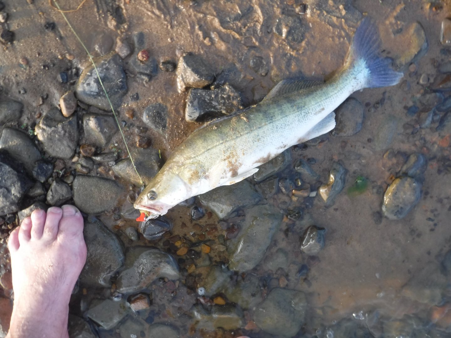 DSCF6314.JPG