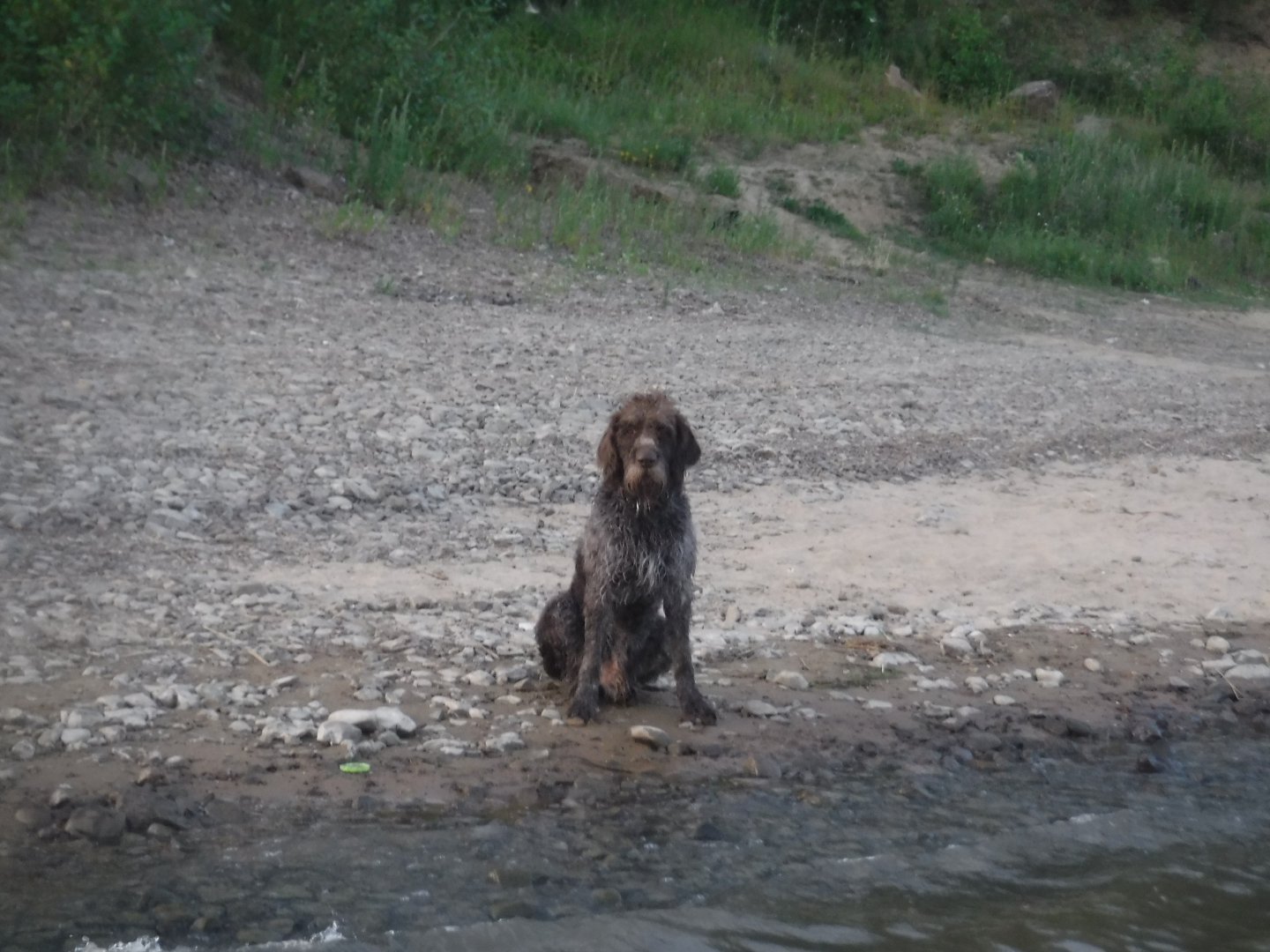 DSCF6318.JPG