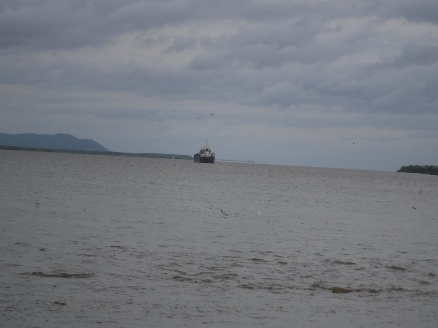 DSCF6347.JPG