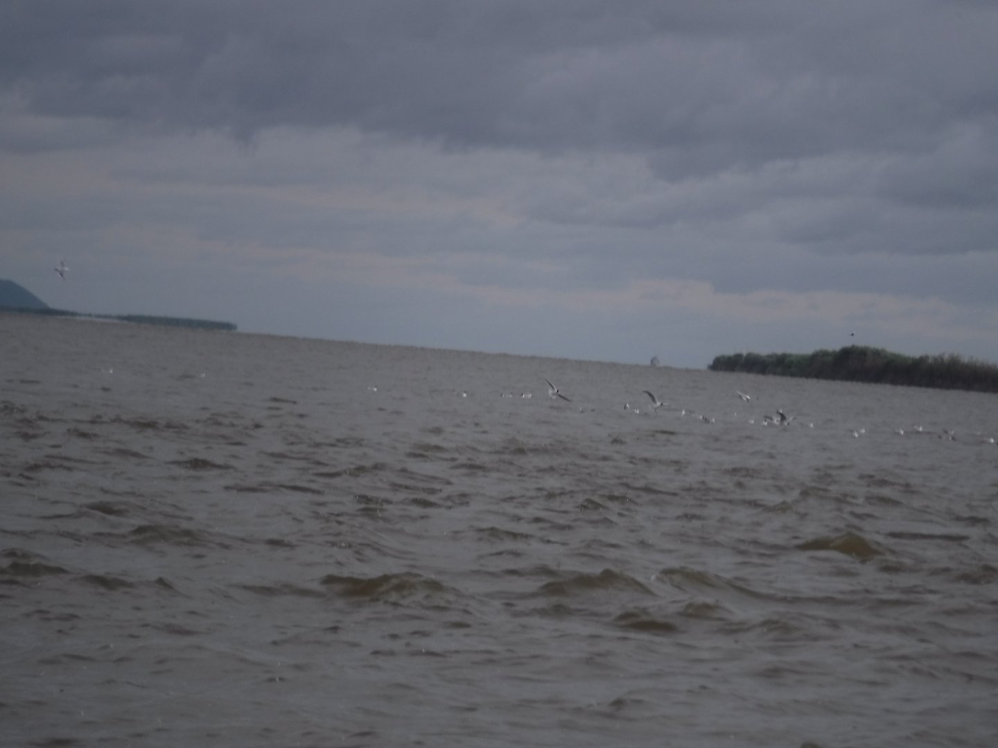 DSCF6352.JPG