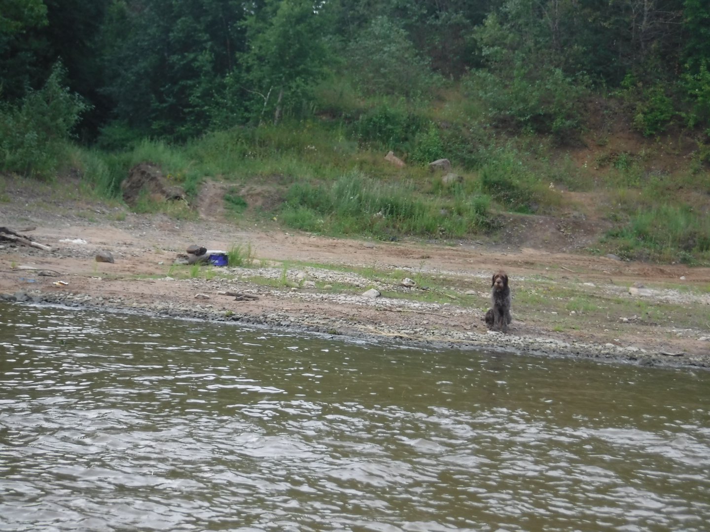 DSCF6356.JPG