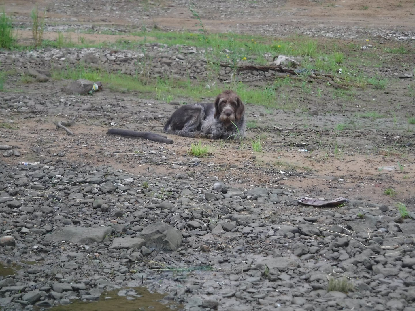 DSCF6371.JPG
