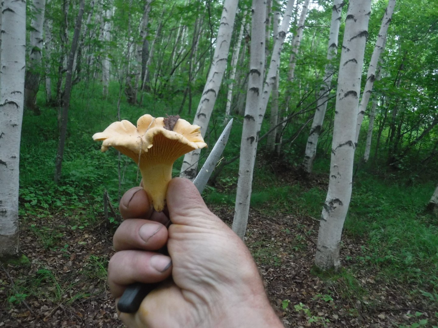 DSCF6379.JPG