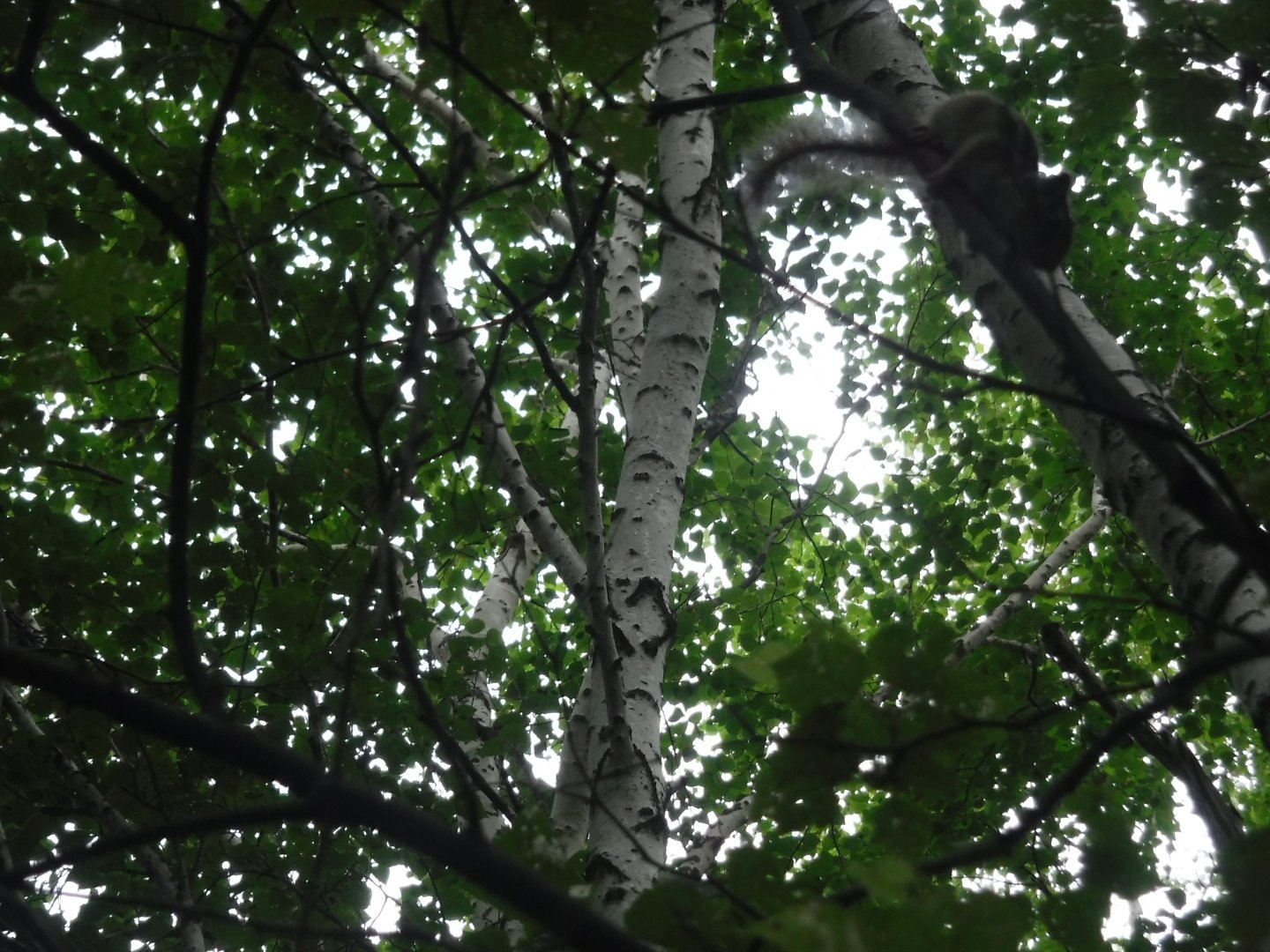 DSCF6382.JPG
