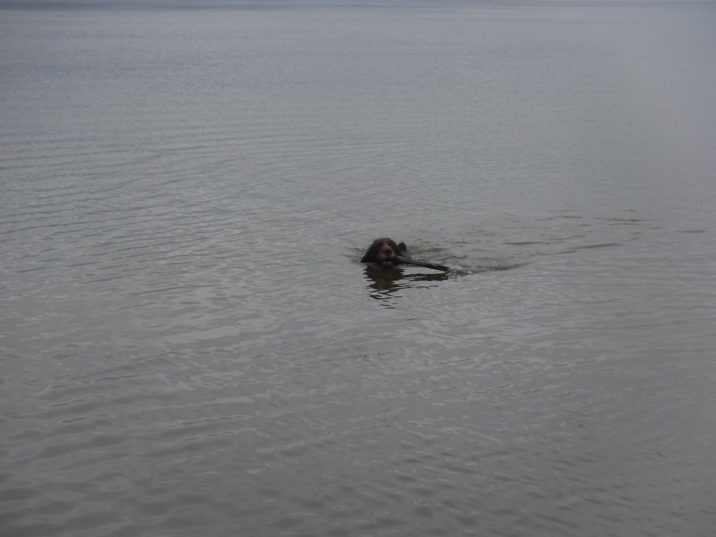 DSCF6391.JPG