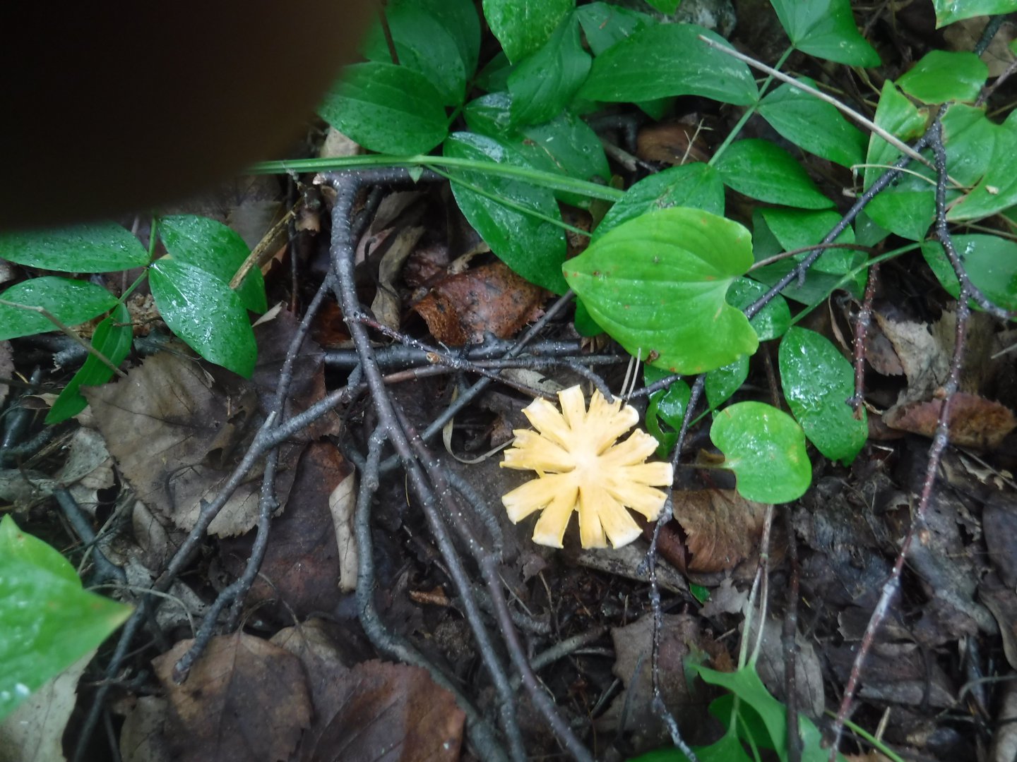 DSCF6392.JPG