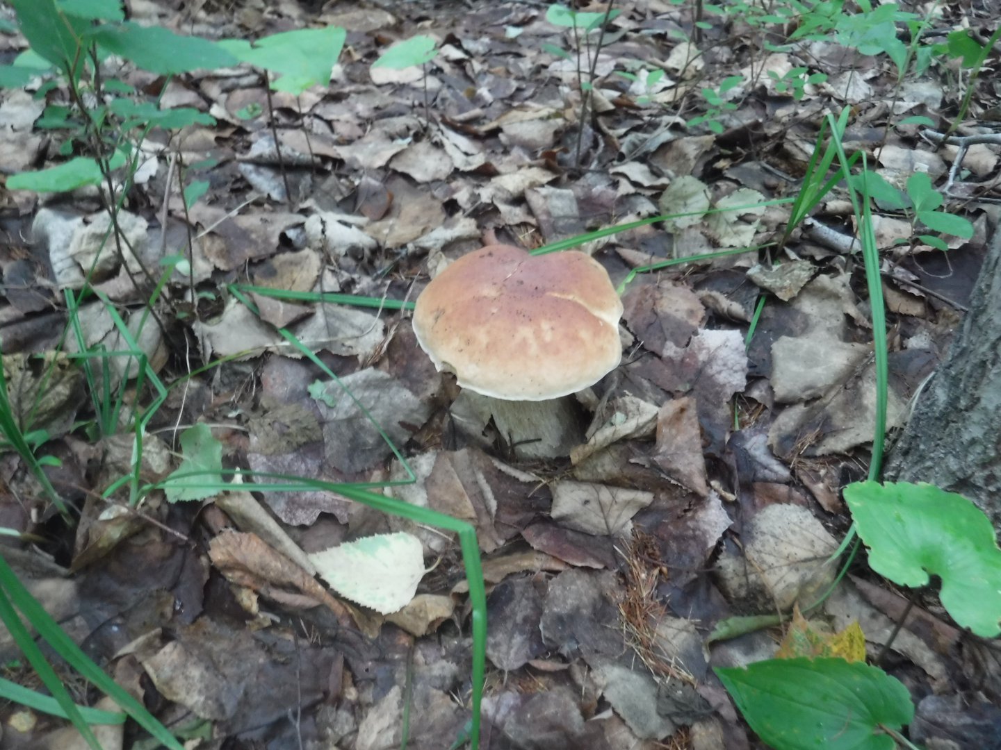 DSCF6393.JPG