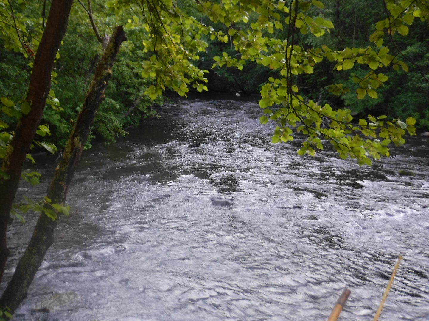 DSCF6405.JPG