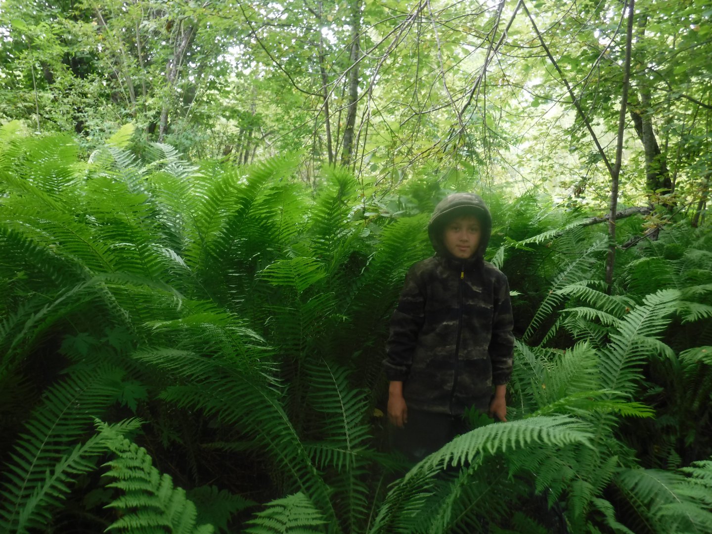 DSCF6429.JPG