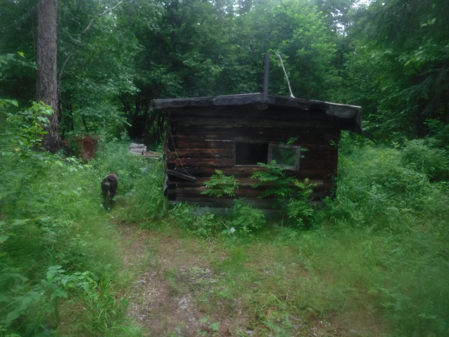 DSCF6433.JPG